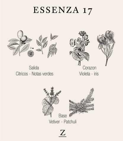 Perfume Essenza 17