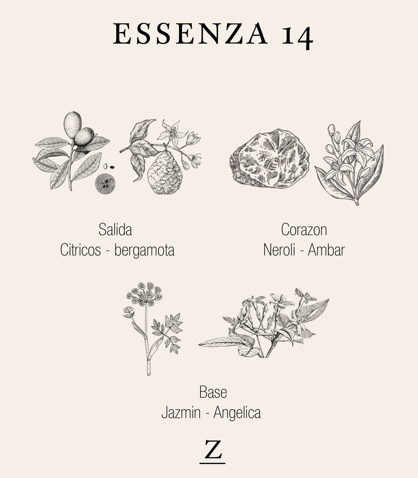 Perfume Essenza 14